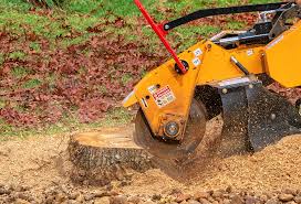 Best Tree Risk Assessment  in Ormond By The Sea, FL